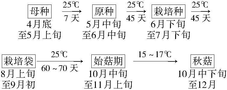 生產(chǎn)時(shí)間安排